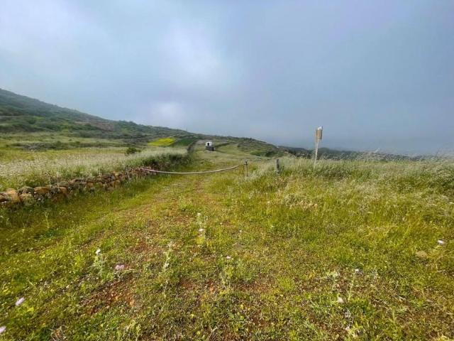 Terreno en venta en Ingenio
