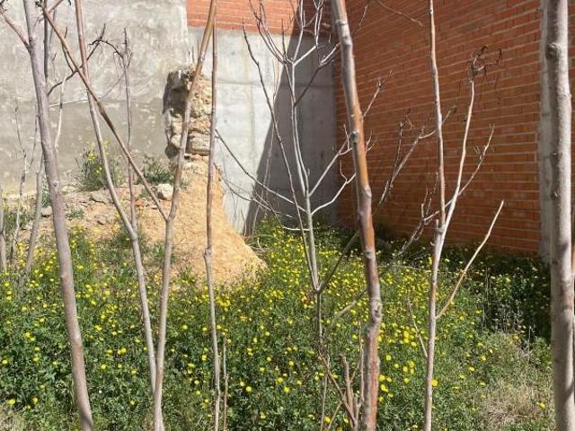 Terreno en venta en Iniesta, La Manchuela