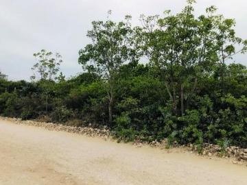 Terreno en Venta en Isla Blanca Isla Mujeres Quintana Roo Lote 22