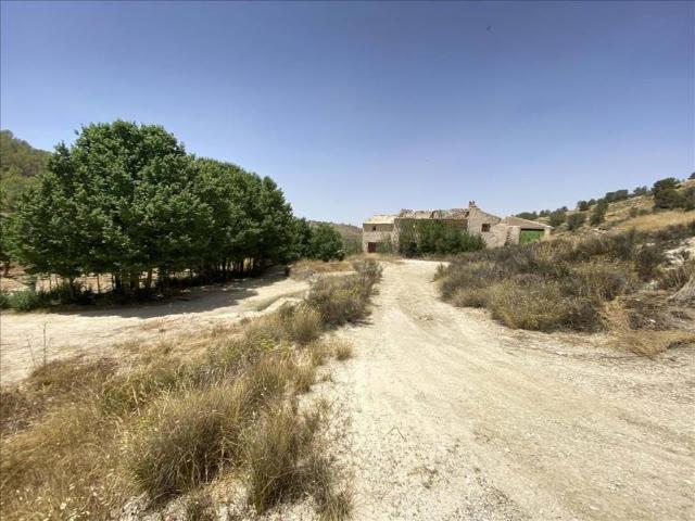 Terreno en Venta en Jumilla