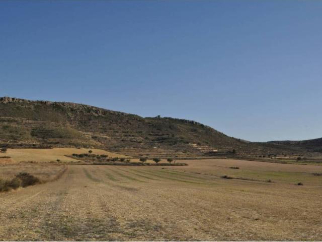 Terreno en Venta en Jumilla