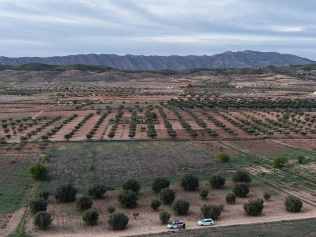 Terreno en Venta en Jumilla