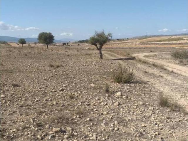 Terreno en Venta en Jumilla