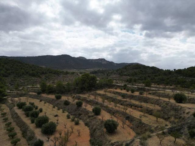 Terreno en Venta en Jumilla