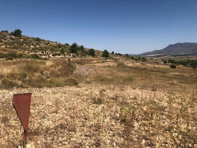 Terreno en Venta en Jumilla