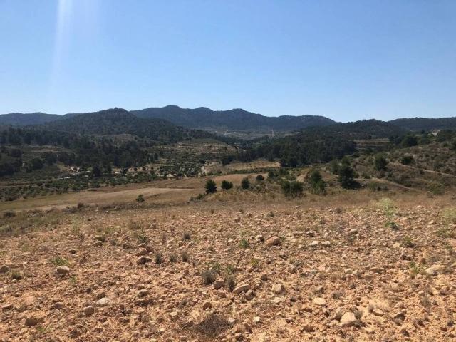 Terreno en Venta en Jumilla