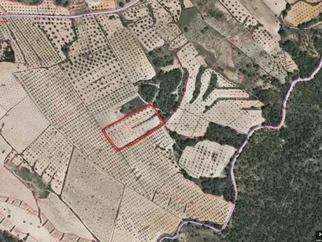 Terreno en Venta en Jumilla