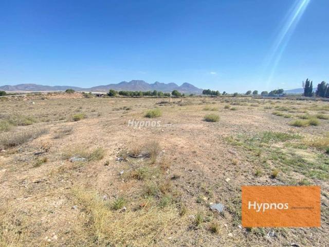 Terreno en Venta en Jumilla