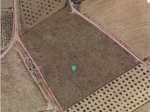 Terreno en Venta en Jumilla