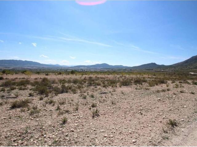 Terreno en Venta en Jumilla