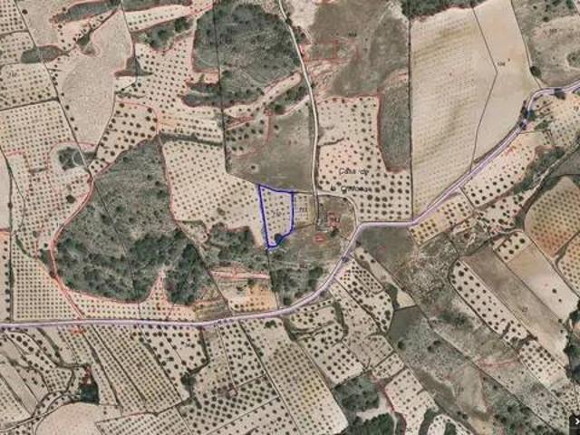 Terreno en Venta en Jumilla