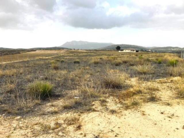 Terreno en Venta en Jumilla
