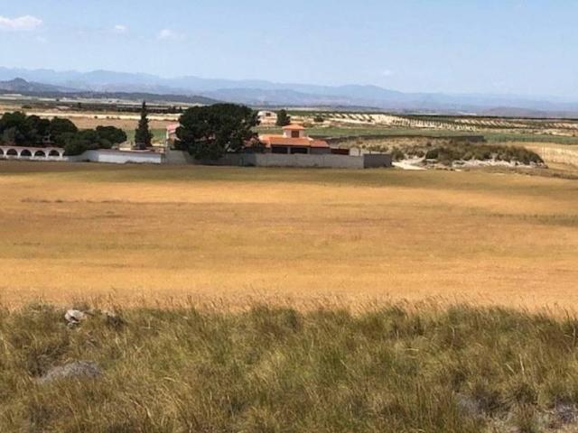 Terreno en Venta en Jumilla
