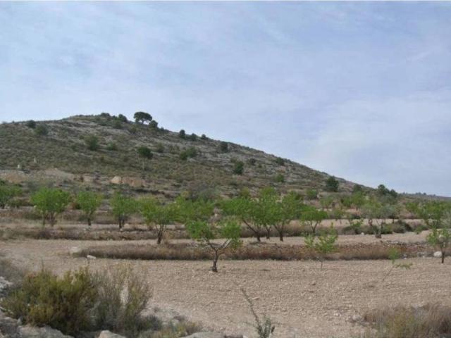 Terreno en Venta en Jumilla