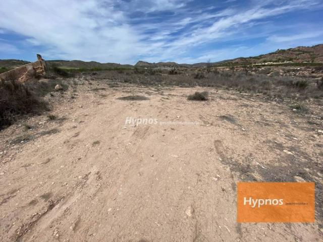 Terreno en Venta en Jumilla
