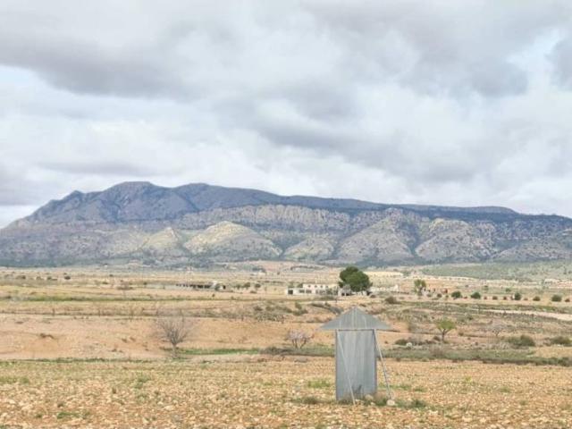 Terreno en Venta en Jumilla