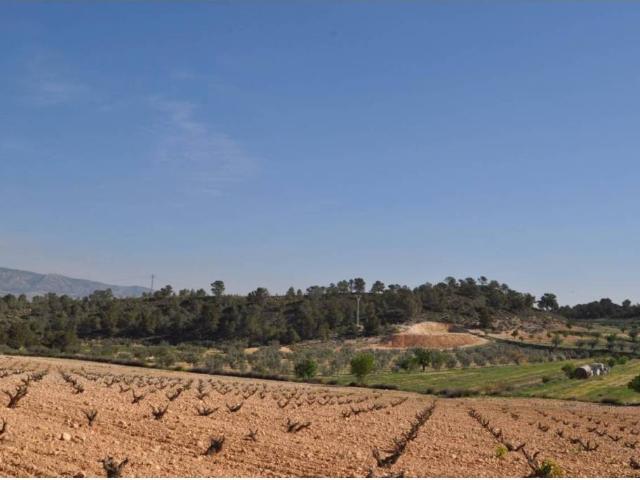 Terreno en Venta en Jumilla