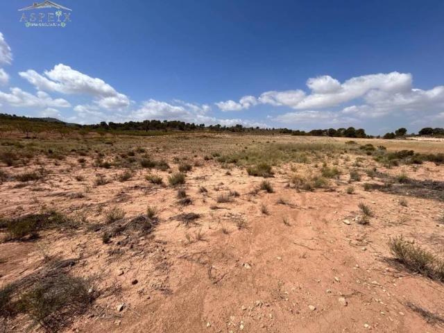Terreno en Venta en Jumilla