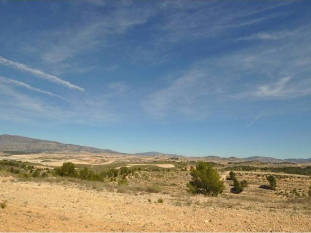 Terreno en Venta en Jumilla