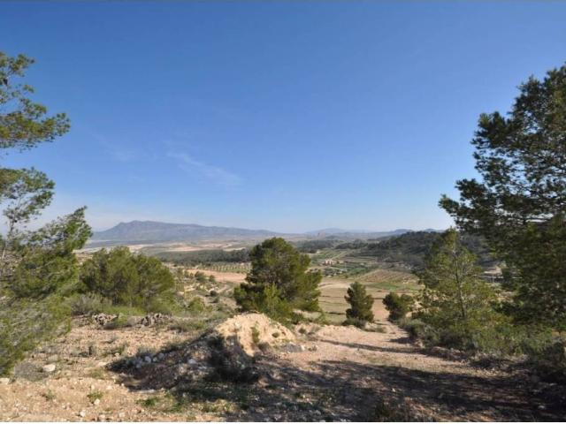 Terreno en Venta en Jumilla