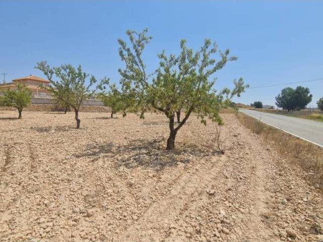 Terreno en Venta en Jumilla