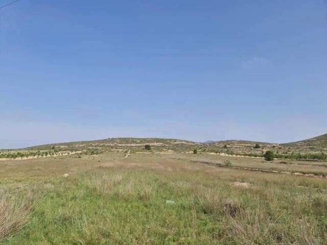 Terreno en Venta en Jumilla
