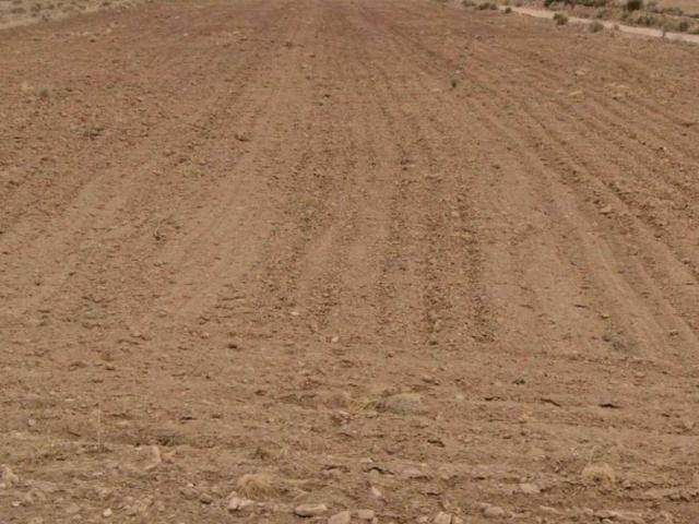 Terreno en Venta en Jumilla