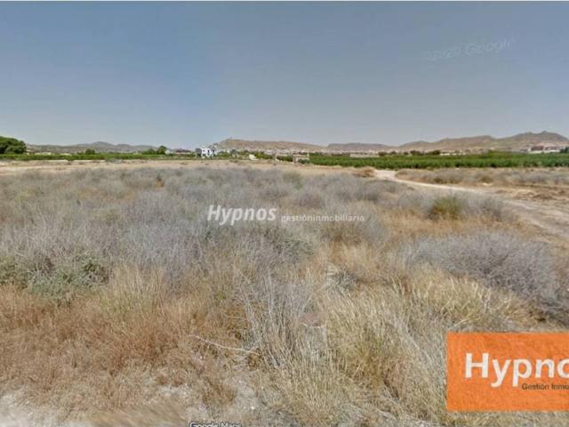 Terreno en Venta en Jumilla