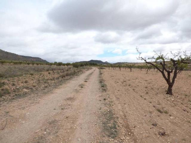 Terreno en Venta en Jumilla