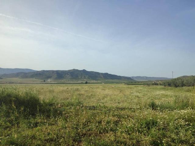 Terreno en Venta en Jumilla