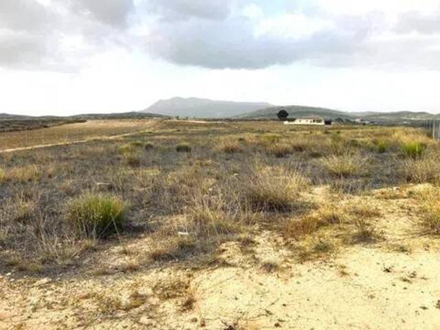Terreno en Venta en Jumilla