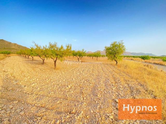 Terreno en Venta en Jumilla