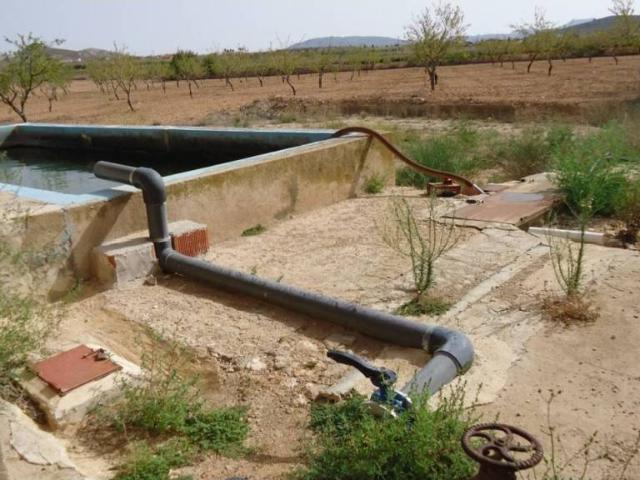 Terreno en Venta en Jumilla