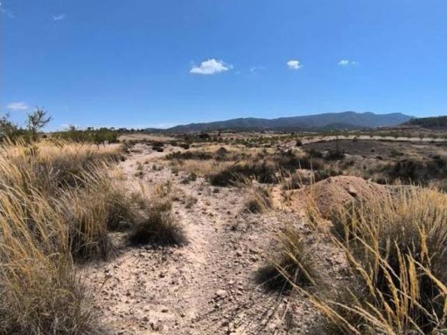 Terreno en Venta en Jumilla