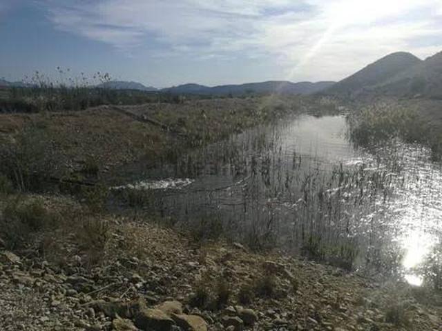 Terreno en Venta en Jumilla