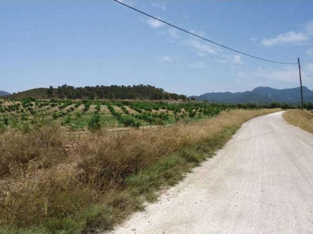 Terreno en Venta en Jumilla