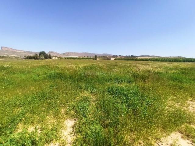 Terreno en venta en Jumilla, Jumilla