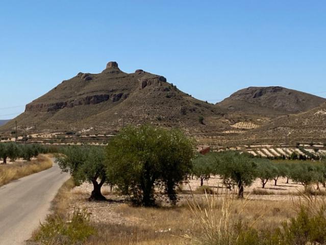 Terreno en venta en Jumilla, JUMILLA RURAL