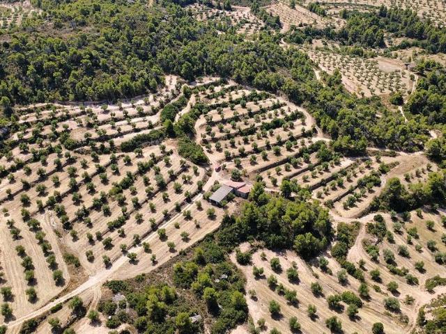 Terreno en venta en Juncosa, de 155.253 m² por 145.000