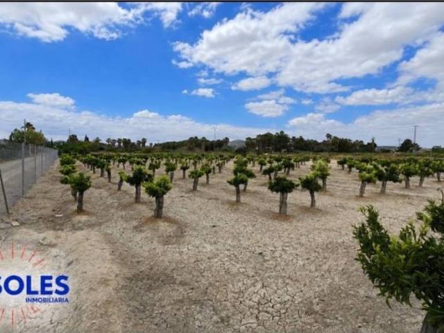 Terreno en Venta en Jacarilla