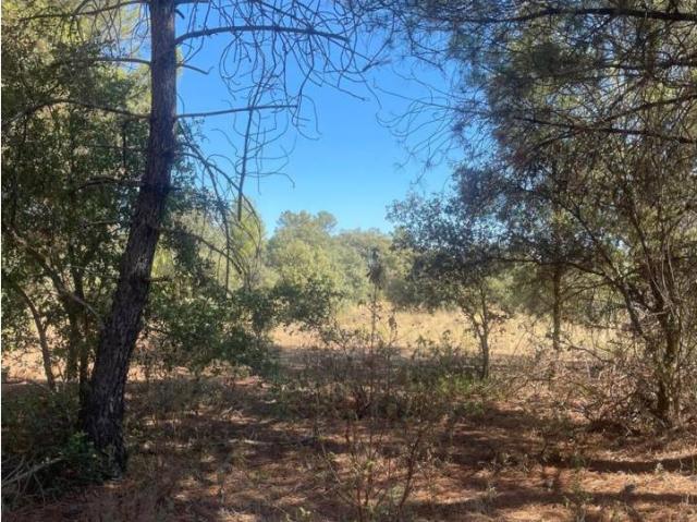 Terreno en venta en Jábaga