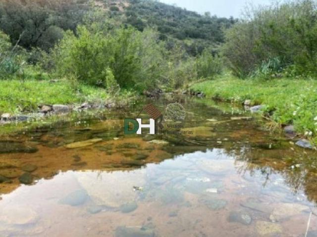 Terreno en Venta en Jaén