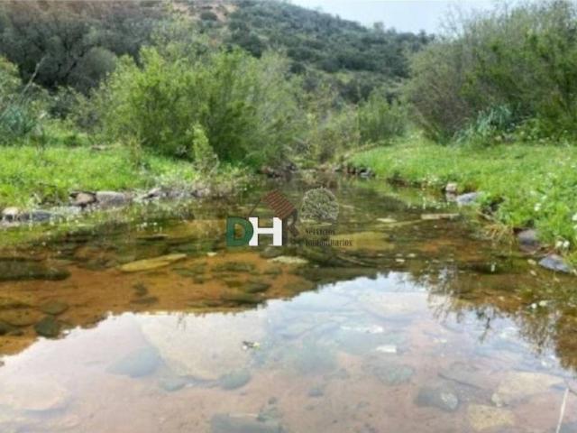 Terreno en Venta en Jaén