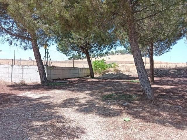 Terreno en venta en Jaén, Las infantas
