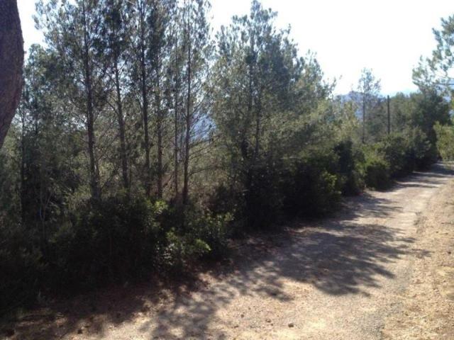 Terreno en venta en Jalon Xalo, Solana