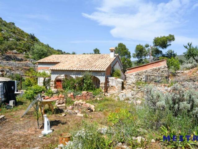 Terreno en venta en Jalon Xalo, Vall de Pop