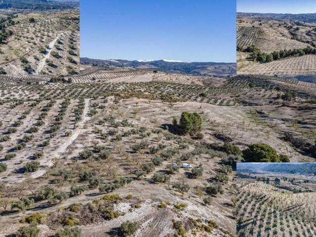 Terreno en Venta en Jayena