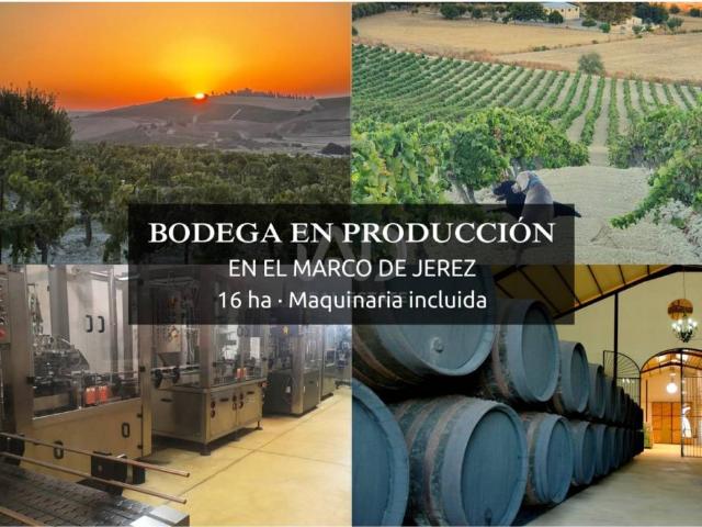 Terreno en Venta en Jerez de la Frontera