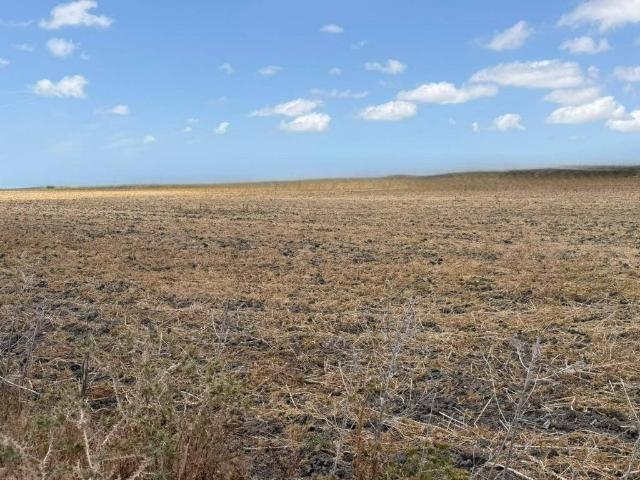Terreno en Venta en Jerez de la Frontera