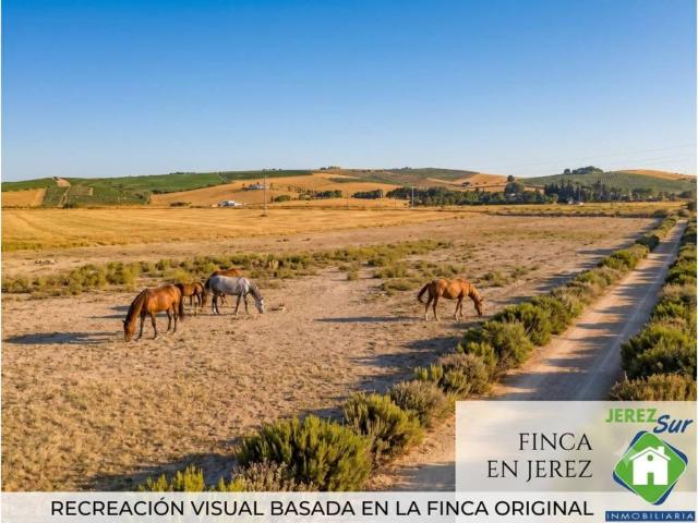 Terreno en Venta en Jerez de la Frontera